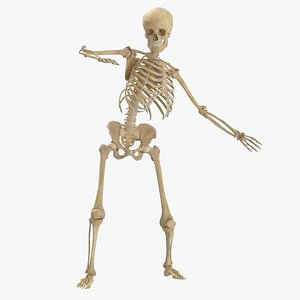 Real Human Female Skeleton Pose 34