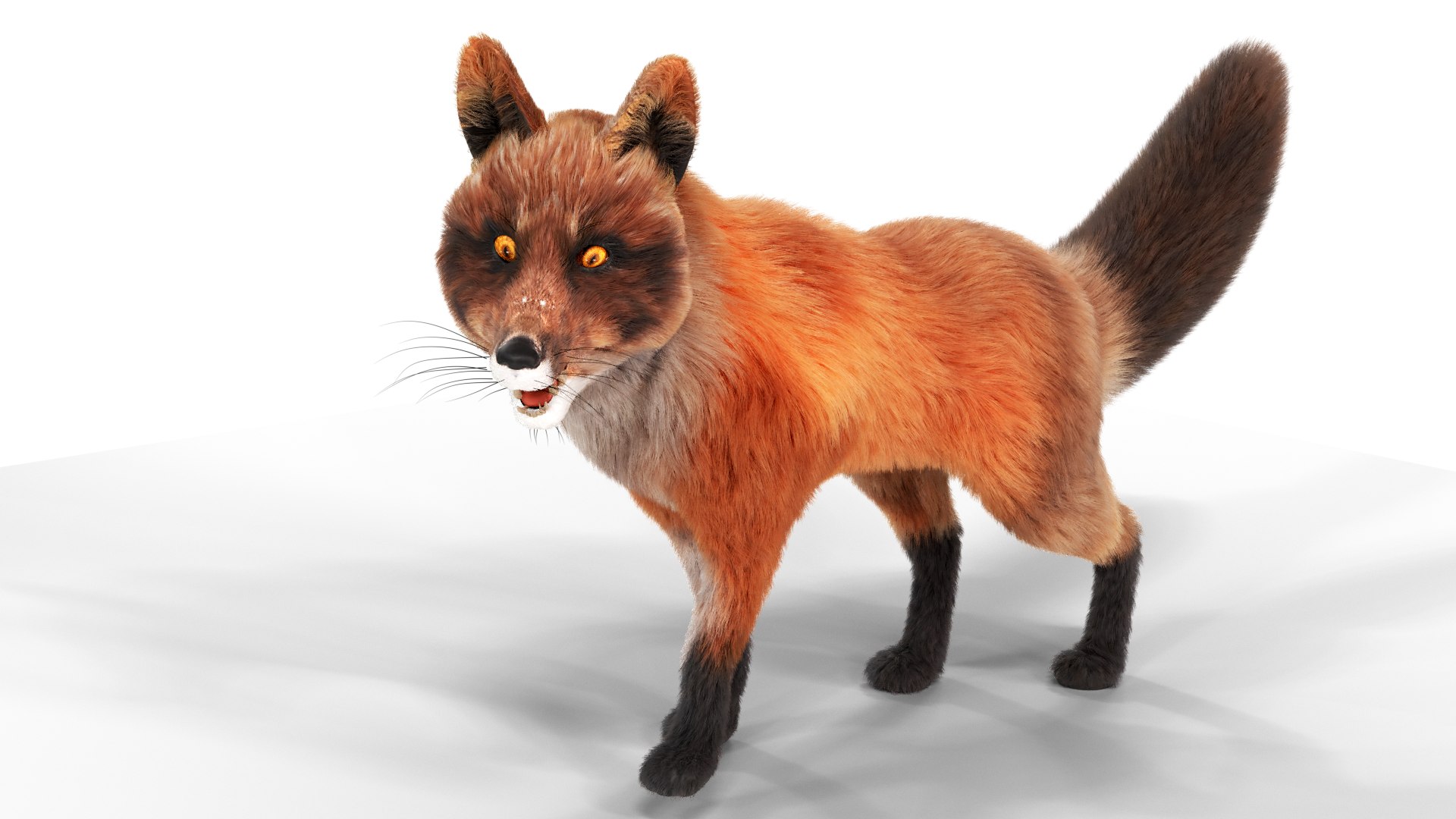 Fur Fox Rigged 01 Model - TurboSquid 1722516