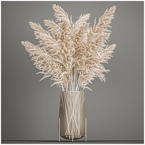 Decorative Bouquet of  white dried pampas grass 203 3D