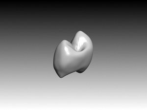 premolar maxilar crown 3ds