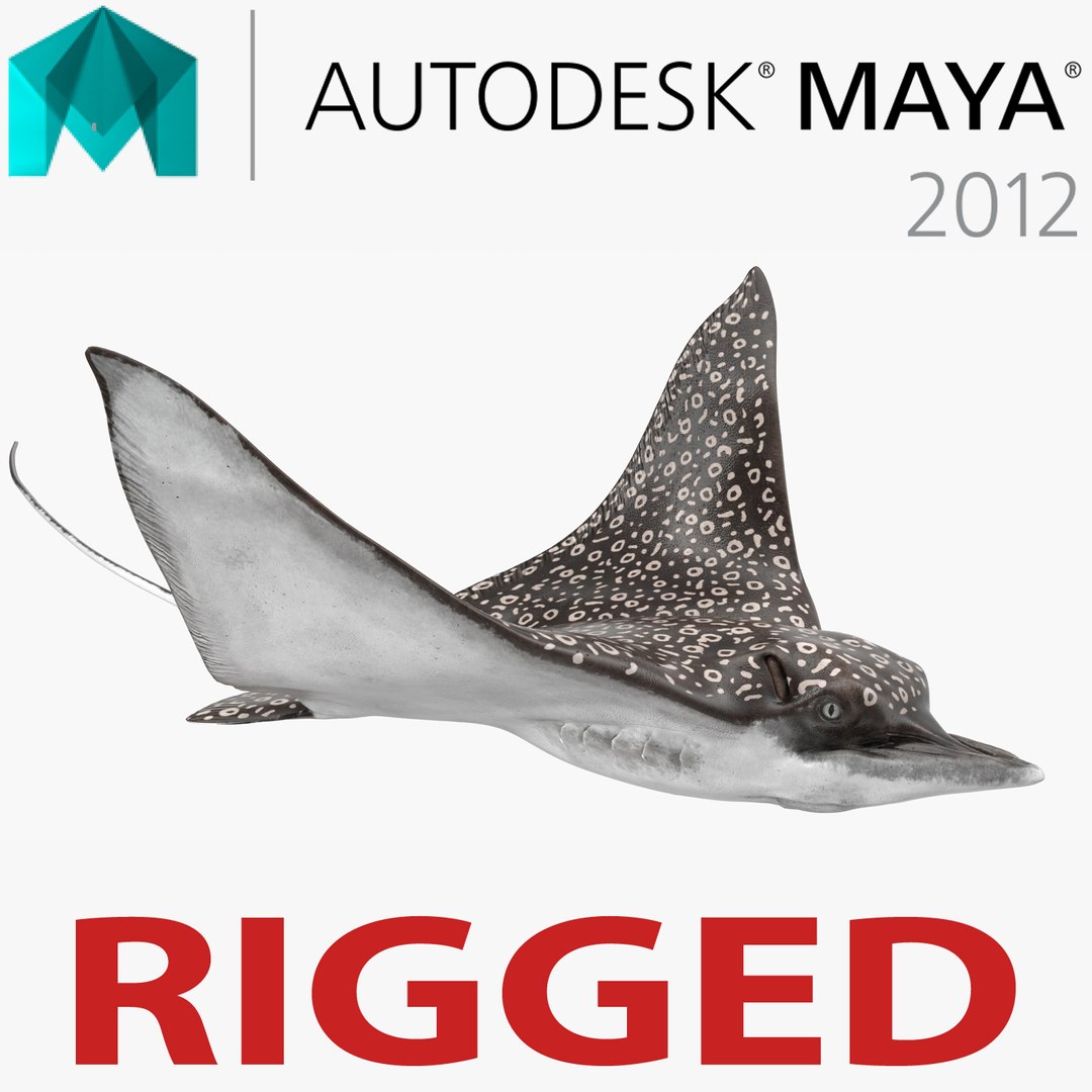 Eagle Ray Rigged for Maya 3D model preview