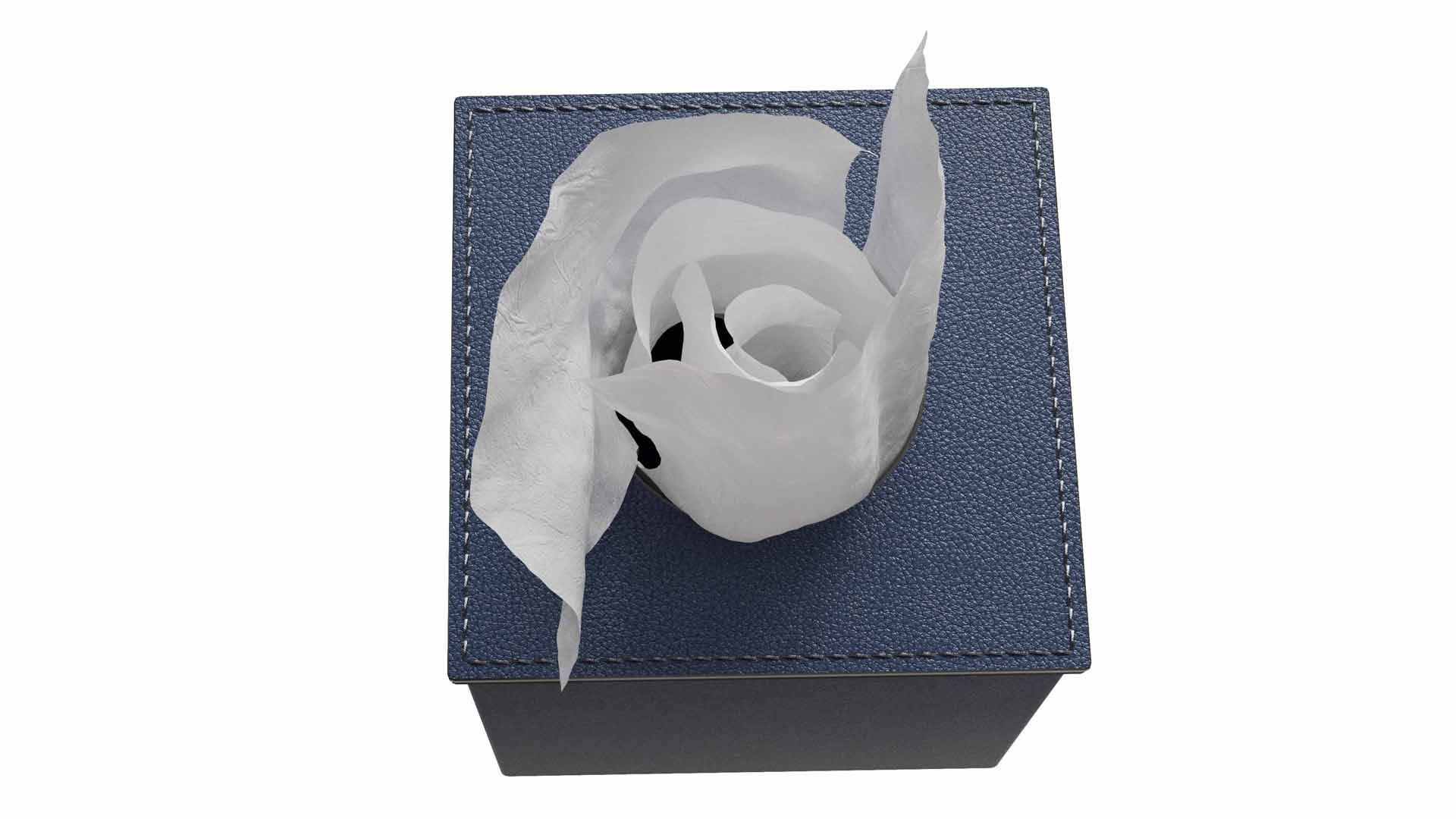 AURI NAVY LEATHER TISSUE BOX 3D https://p.turbosquid.com/ts-thumb/cW/IF1NwG/6w/4/jpg/1720274736/1920x1080/fit_q87/d788173d96dcd73b593ebe38fccf79054f6d4689/4.jpg