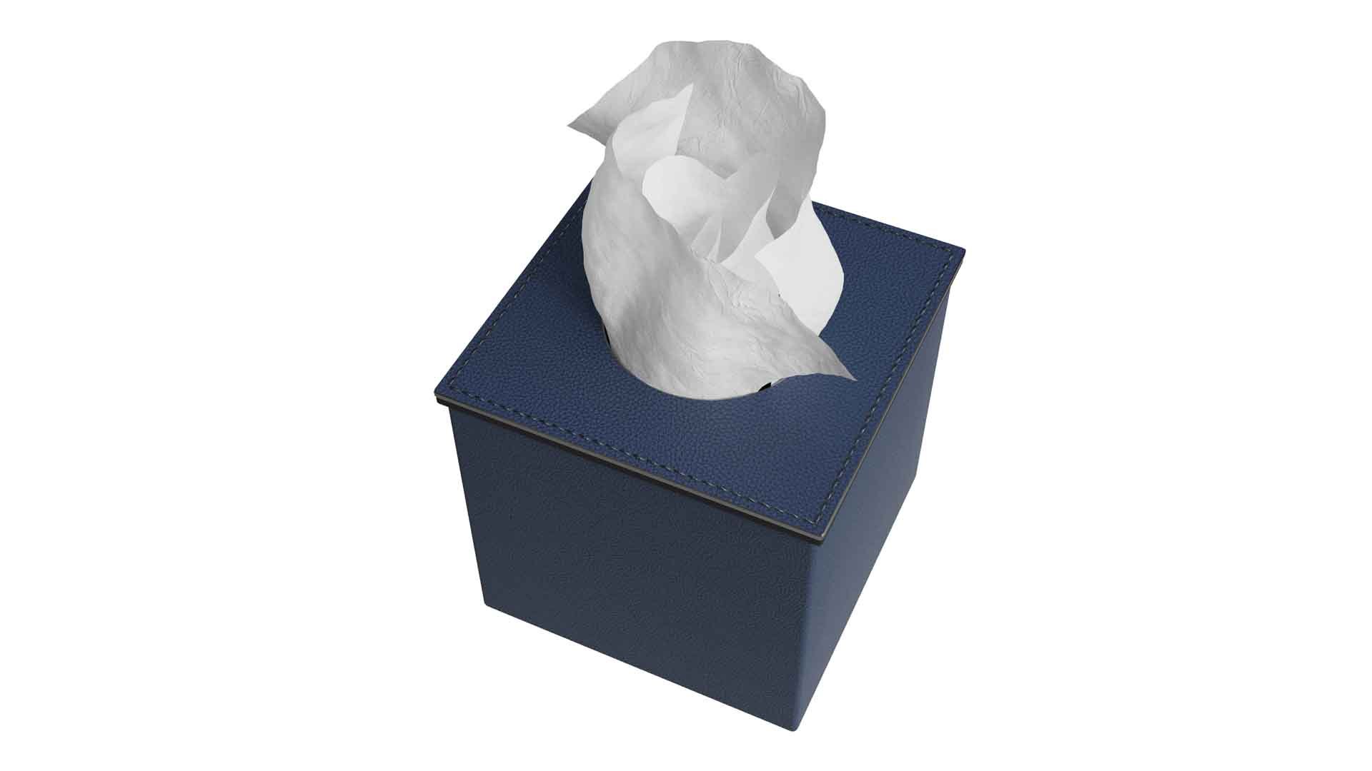 AURI NAVY LEATHER TISSUE BOX 3D https://p.turbosquid.com/ts-thumb/cW/IF1NwG/Kw/2/jpg/1720274732/1920x1080/fit_q87/53e5576bf0ad8115e4568f9e5ff3b8ff9f507f05/2.jpg