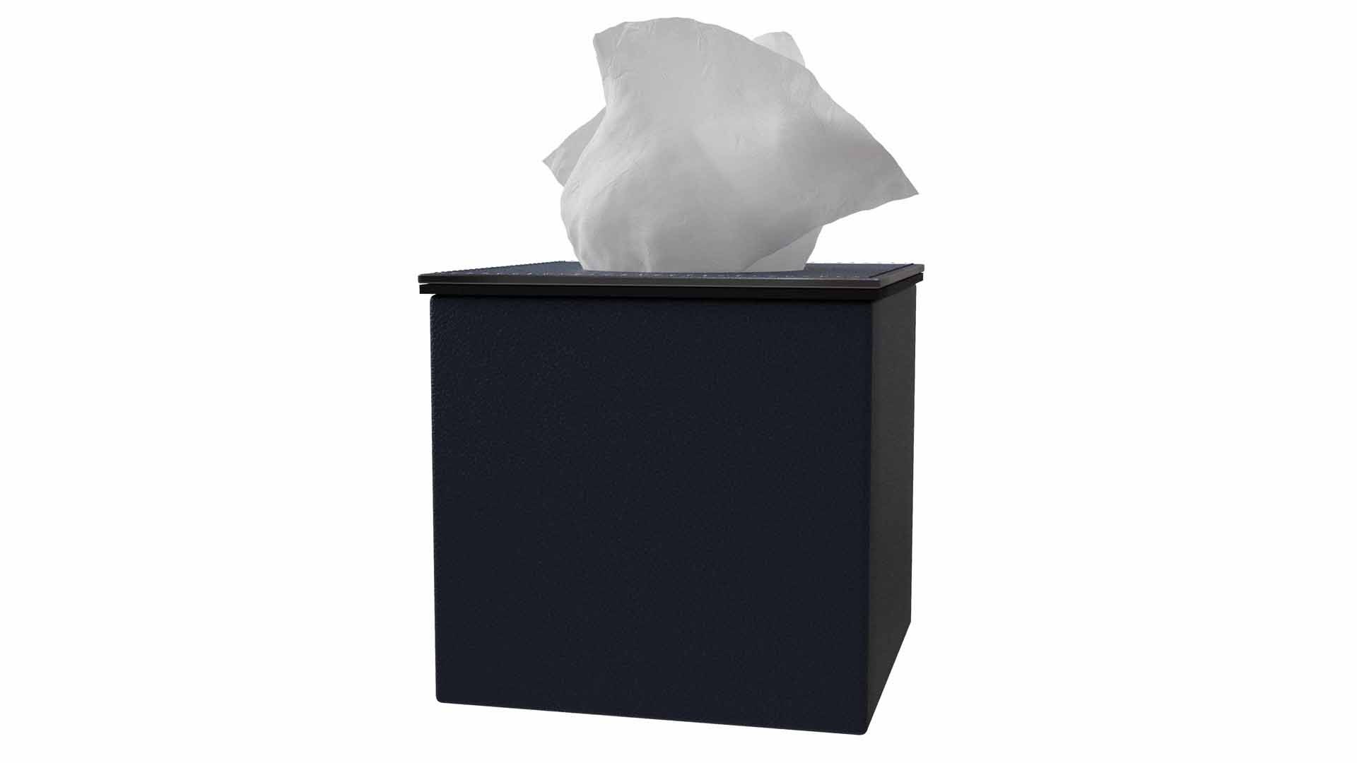 AURI NAVY LEATHER TISSUE BOX 3D https://p.turbosquid.com/ts-thumb/cW/IF1NwG/xL/5/jpg/1720274736/1920x1080/fit_q87/71b7b10cb1e6fcf701baec4815072e1518a3b6fc/5.jpg