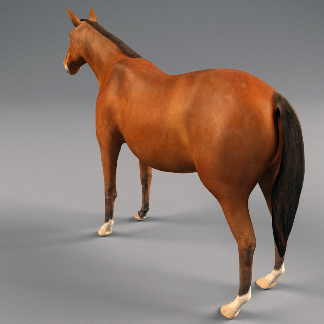 chinese horse carriage 3d model https://p.turbosquid.com/ts-thumb/cW/NLqwCq/3n3c8okn/chinese_horse_and_carriage_15/jpg/1282851429/1920x1080/fit_q87/568315bb4855ebd80b2551d77cb315e553828e0e/chinese_horse_and_carriage_15.jpg