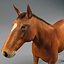 chinese horse carriage 3d model
