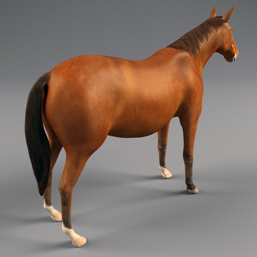 chinese horse carriage 3d model https://p.turbosquid.com/ts-thumb/cW/NLqwCq/ORpLoXq4/chinese_horse_and_carriage_17/jpg/1282851429/1920x1080/fit_q87/089f250baad493eec7717b06da1d77df218330c9/chinese_horse_and_carriage_17.jpg