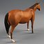 chinese horse carriage 3d model
