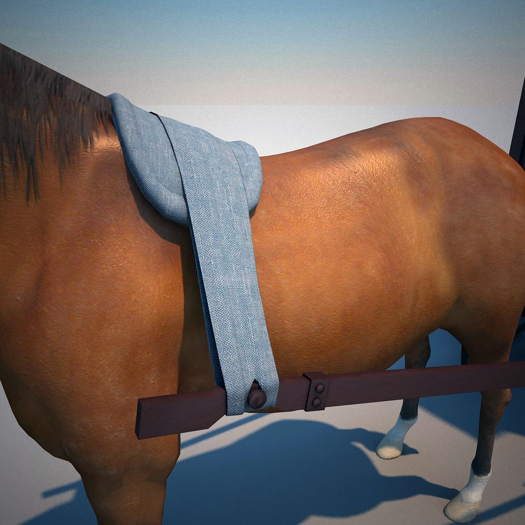chinese horse carriage 3d model https://p.turbosquid.com/ts-thumb/cW/NLqwCq/dkrM6e5p/chinese_horse_and_carriage_10/jpg/1282851429/1920x1080/fit_q87/4c6725dcb0123ac3472280a7c9db0d92eecfcea9/chinese_horse_and_carriage_10.jpg