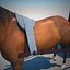 chinese horse carriage 3d model