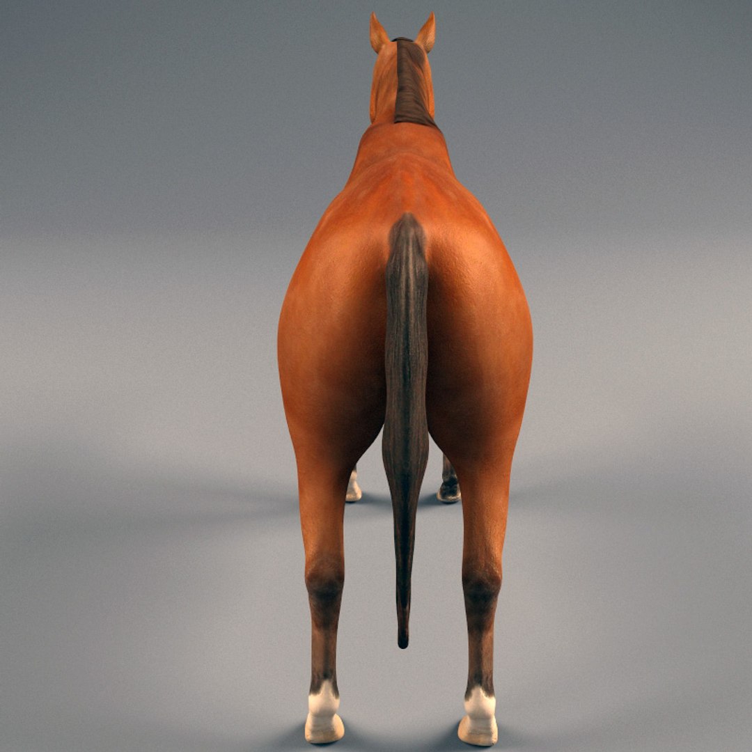 chinese horse carriage 3d model https://p.turbosquid.com/ts-thumb/cW/NLqwCq/nLg2oLbN/chinese_horse_and_carriage_16/jpg/1282851429/1920x1080/fit_q87/6951c34743f138be69cfe1174e8468fbea8e6ca2/chinese_horse_and_carriage_16.jpg