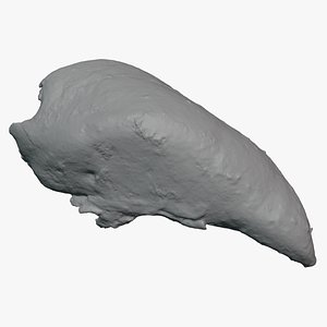 3D Roasted Chicken Breast for 3D Print