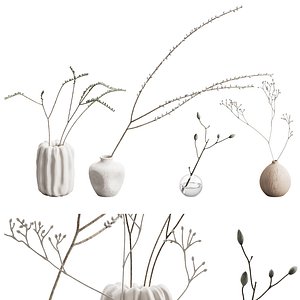 550 indoor plants 01 branches in a vases 01 3D model