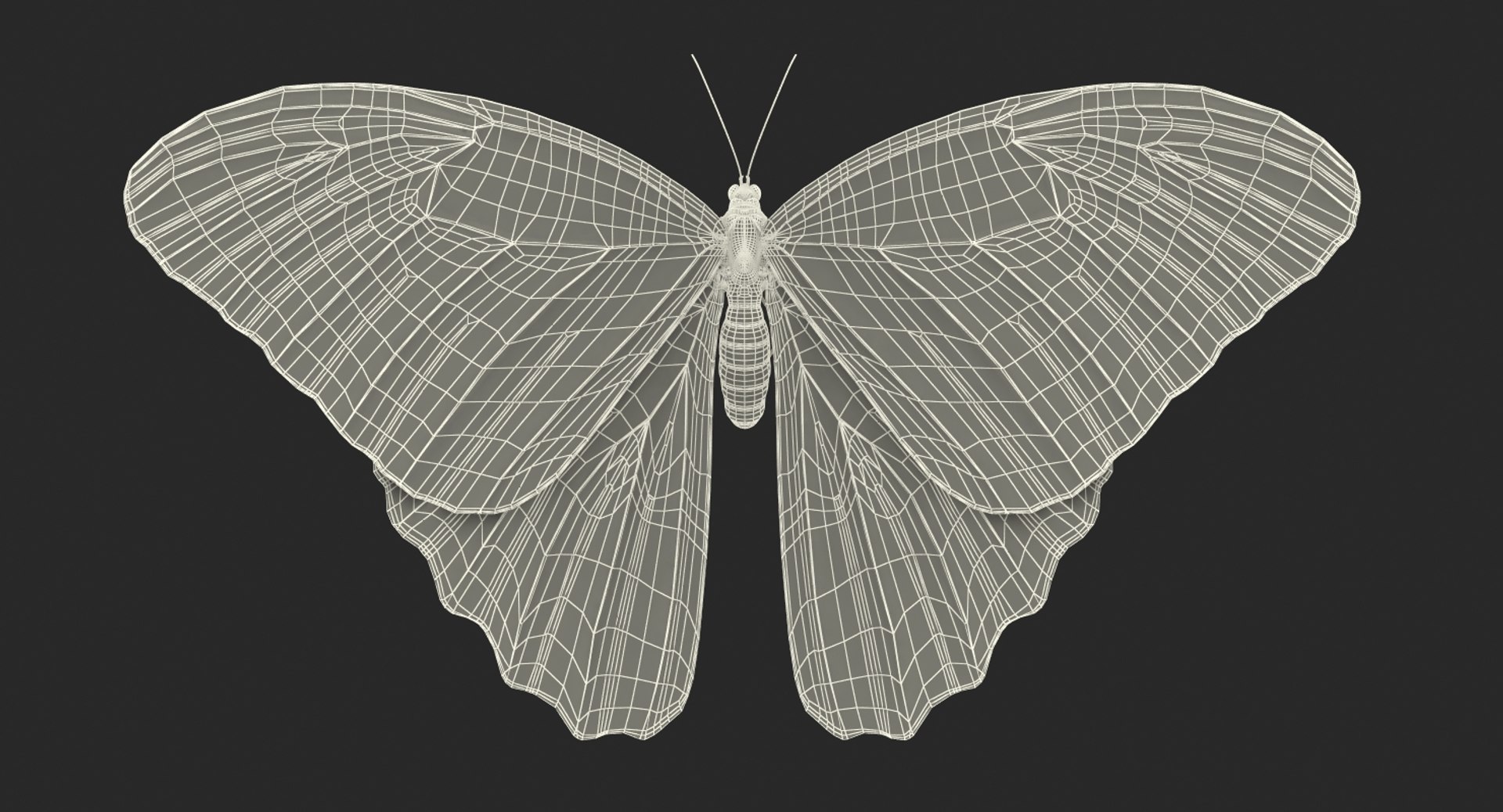 3D common morpho butterfly model https://p.turbosquid.com/ts-thumb/cW/kxv3fd/mqrh0aIx/commonmorphobutterfly3dmodel018/jpg/1496293352/1920x1080/fit_q87/76f2af8d794024a0b86be0a488208ea2099d1bd5/commonmorphobutterfly3dmodel018.jpg