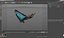 Common Morpho Butterfly