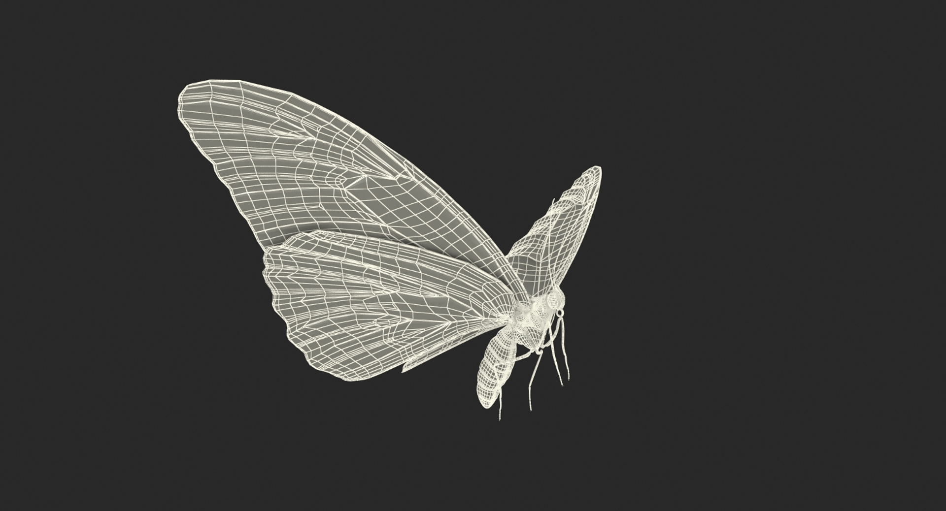 3D common morpho butterfly model https://p.turbosquid.com/ts-thumb/cW/kxv3fd/y6nxJr72/common_morpho_butterfly_361/jpg/1496293618/1920x1080/turn_fit_q99/320f7f9d3d95cc1c6e14d403b01097cae2ebff50/common_morpho_butterfly_361-1.jpg