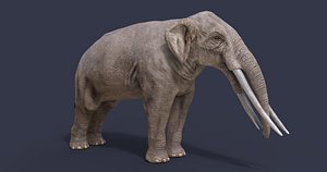 Stegotetrabelodon syrticus