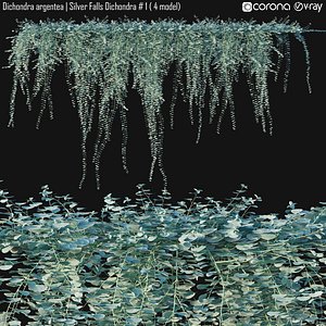 3D Silver Falls Dichondra 01