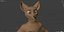 3D model Cassandra Anthro Wolf