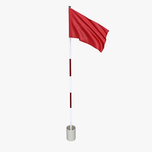 3D Golf Flag