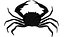 Krab Carcinoplax Suruguensis
