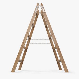Stepladder