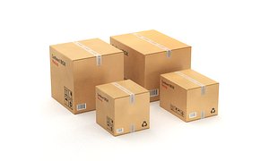Rigged Carton Box