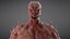 Humanoid Monsters Collection
