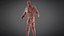 Humanoid Monsters Collection