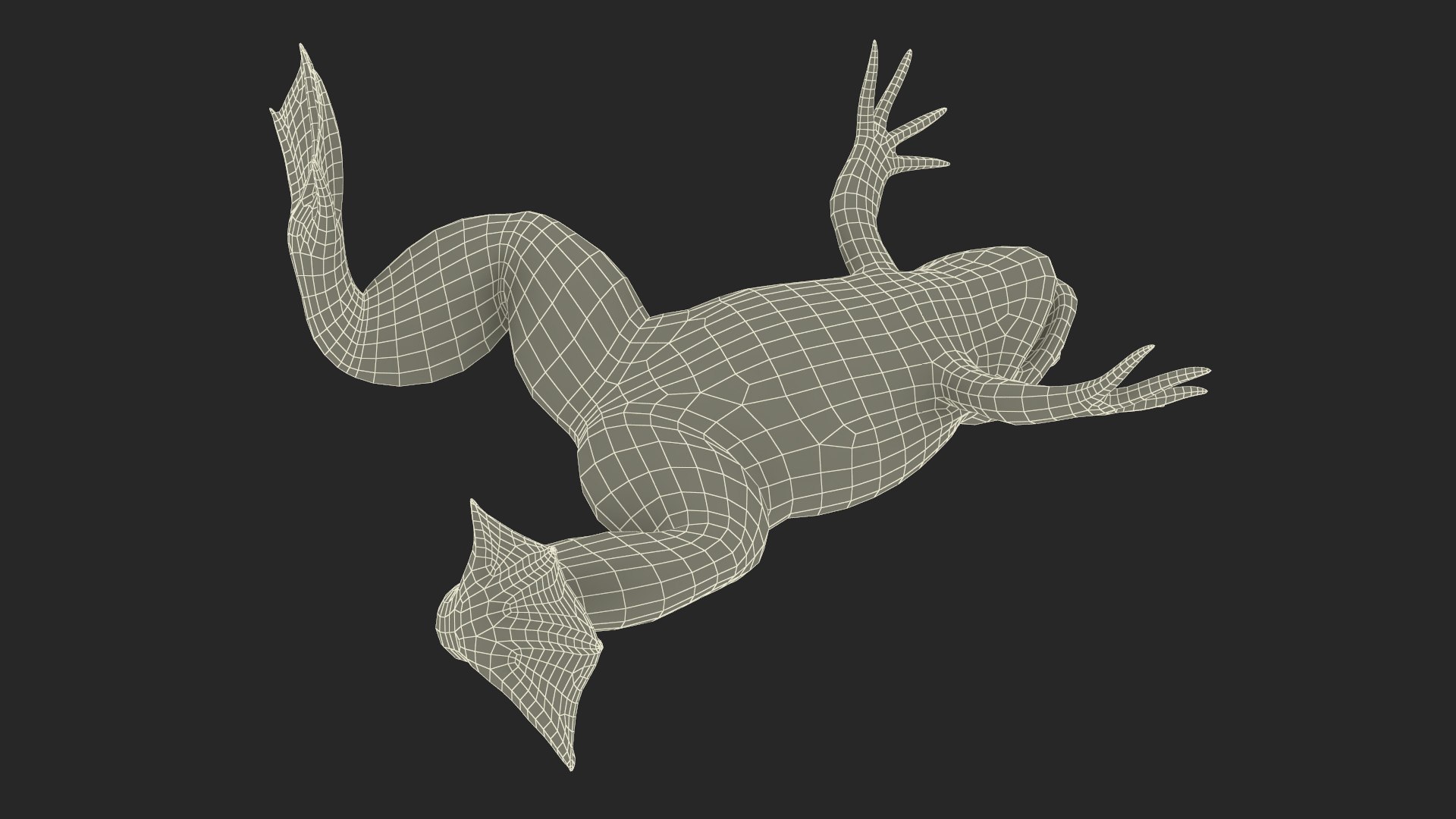 Xenopus African Clawed Toad Rigged for Cinema 4D 3D model - TurboSquid ...