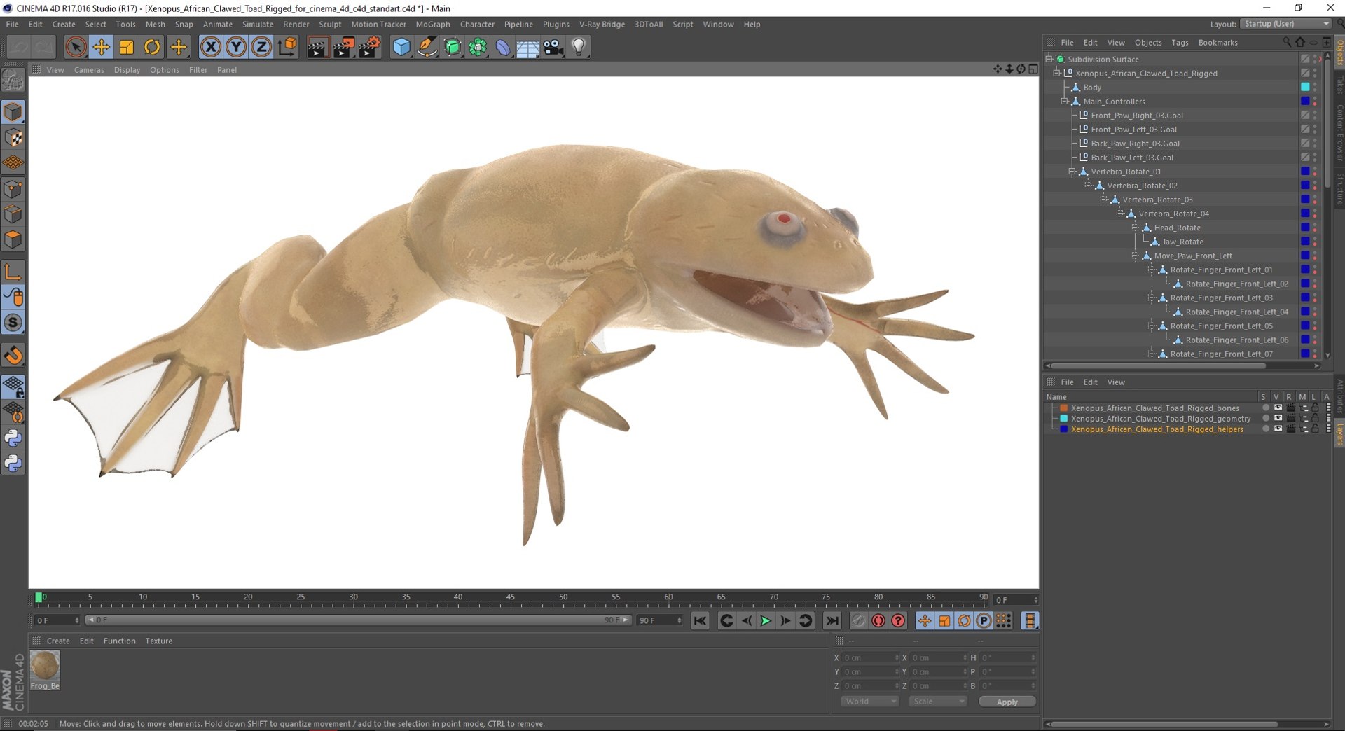Xenopus African Clawed Toad Rigged For Cinema 4D 3D Model - TurboSquid ...