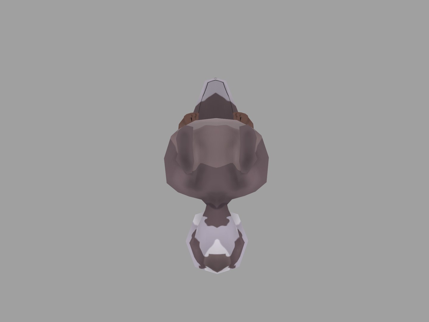 3D raccoon animal mammal model https://p.turbosquid.com/ts-thumb/cX/HJLYpM/nRSLZiup/8/png/1541262258/1920x1080/fit_q87/1726b00a488a4daf311fa6b683703bc6f629786d/8.jpg