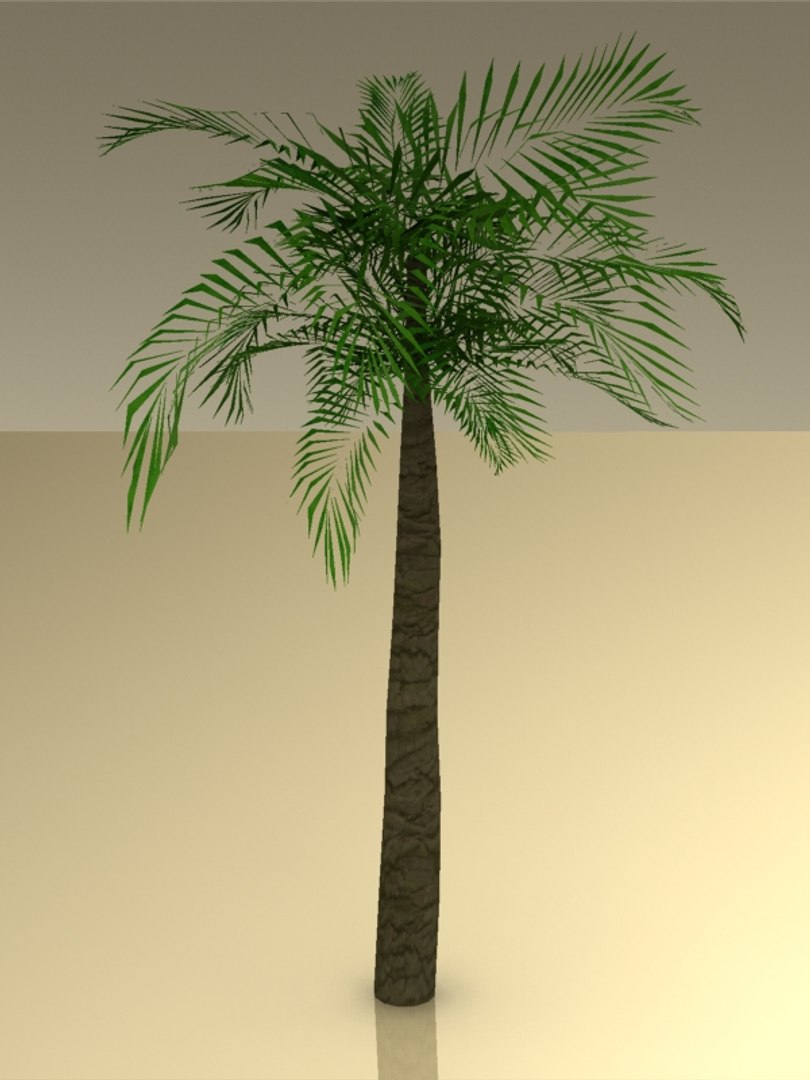 Palm Tree 3d Max