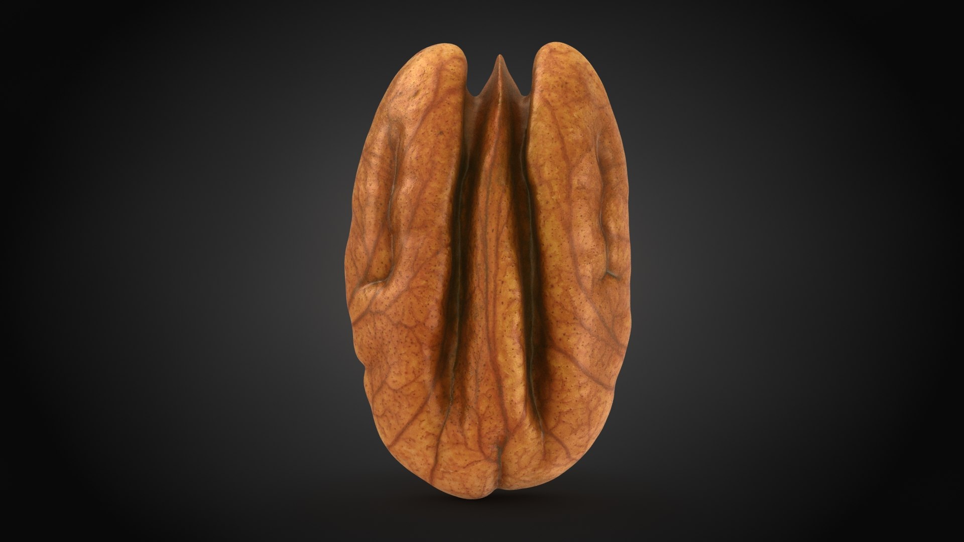 Pecan Nut Collection 3D https://p.turbosquid.com/ts-thumb/cX/Tb9lhv/95/pecan_02_a0001/jpg/1663944786/1920x1080/fit_q87/d4eef7c5891ad7e7e9a201345d01f759876cf1b4/pecan_02_a0001.jpg