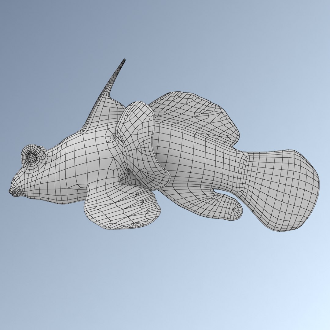 reef fish 3D model https://p.turbosquid.com/ts-thumb/cX/VdrrwU/ASzAMFOr/mand2w/jpg/1510383093/1920x1080/fit_q87/771c8418d2e99afe4972aa659ed02d700ca08602/mand2w.jpg