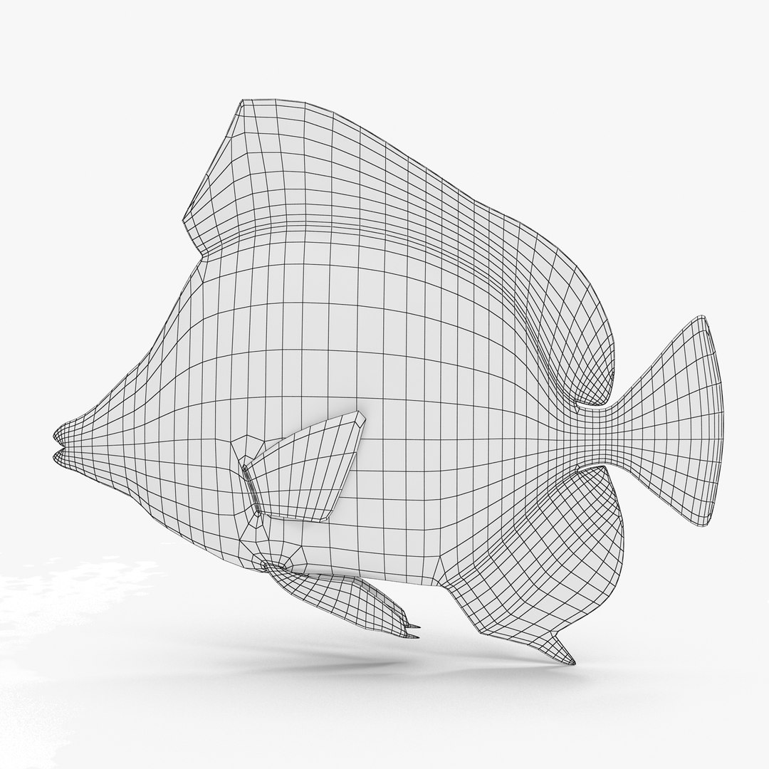 reef fish 3D model https://p.turbosquid.com/ts-thumb/cX/VdrrwU/GI4AAsO0/tinkers_r1w/jpg/1510383380/1920x1080/fit_q87/90f63ca6348c3f049201538168544d1ae545a273/tinkers_r1w.jpg