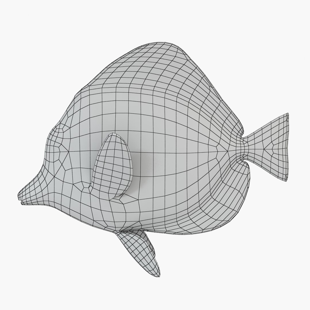 reef fish 3D model https://p.turbosquid.com/ts-thumb/cX/VdrrwU/bL4Nw2GV/tangyr1w/jpg/1510383187/1920x1080/fit_q87/a5b87d4d4fa8f209aadd0881eea97077a7c5a2bc/tangyr1w.jpg