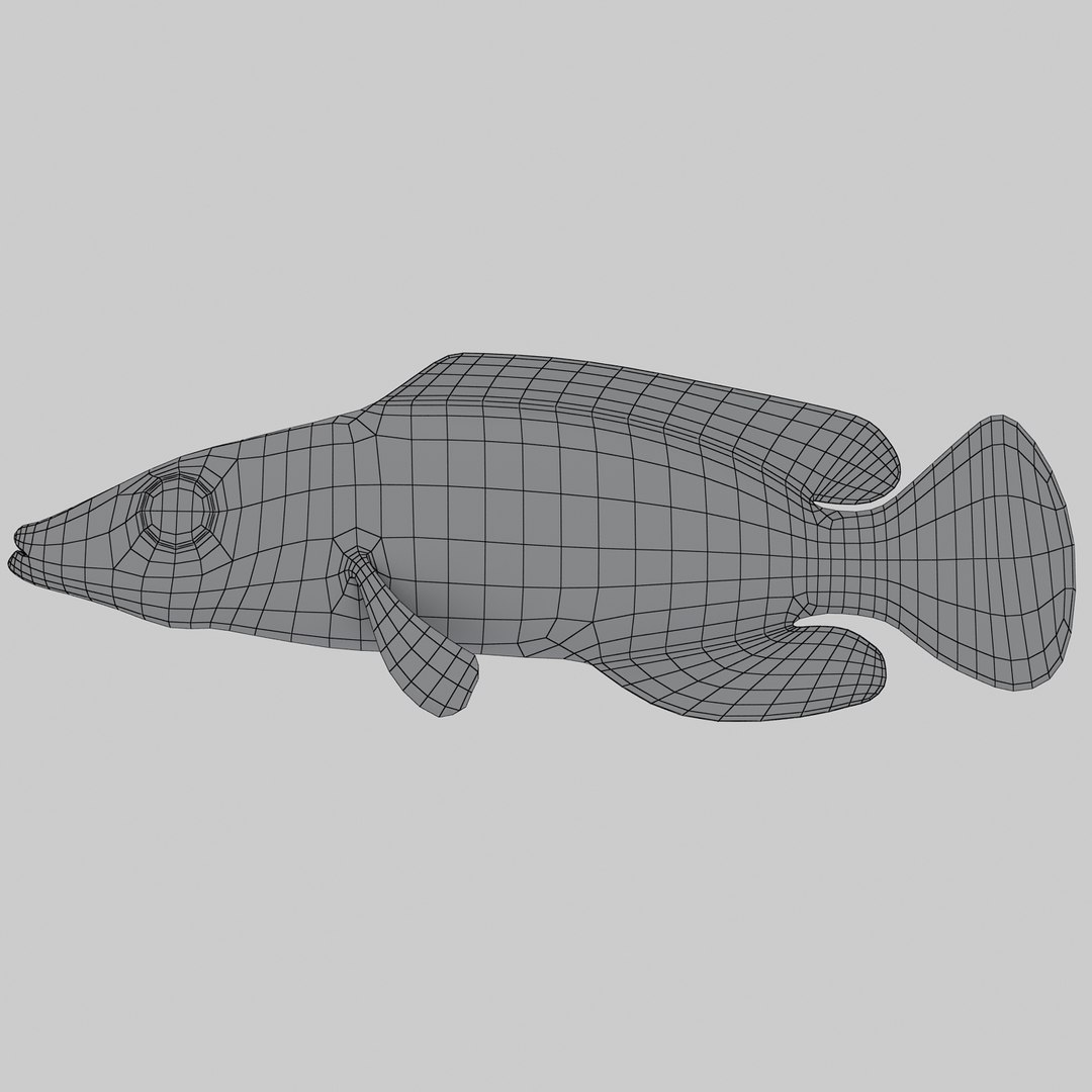 reef fish 3D model https://p.turbosquid.com/ts-thumb/cX/VdrrwU/ddatYyAx/mysterywrasser1w/jpg/1510383093/1920x1080/fit_q87/2518887255c9d97666ef43f0685dcd445816424e/mysterywrasser1w.jpg