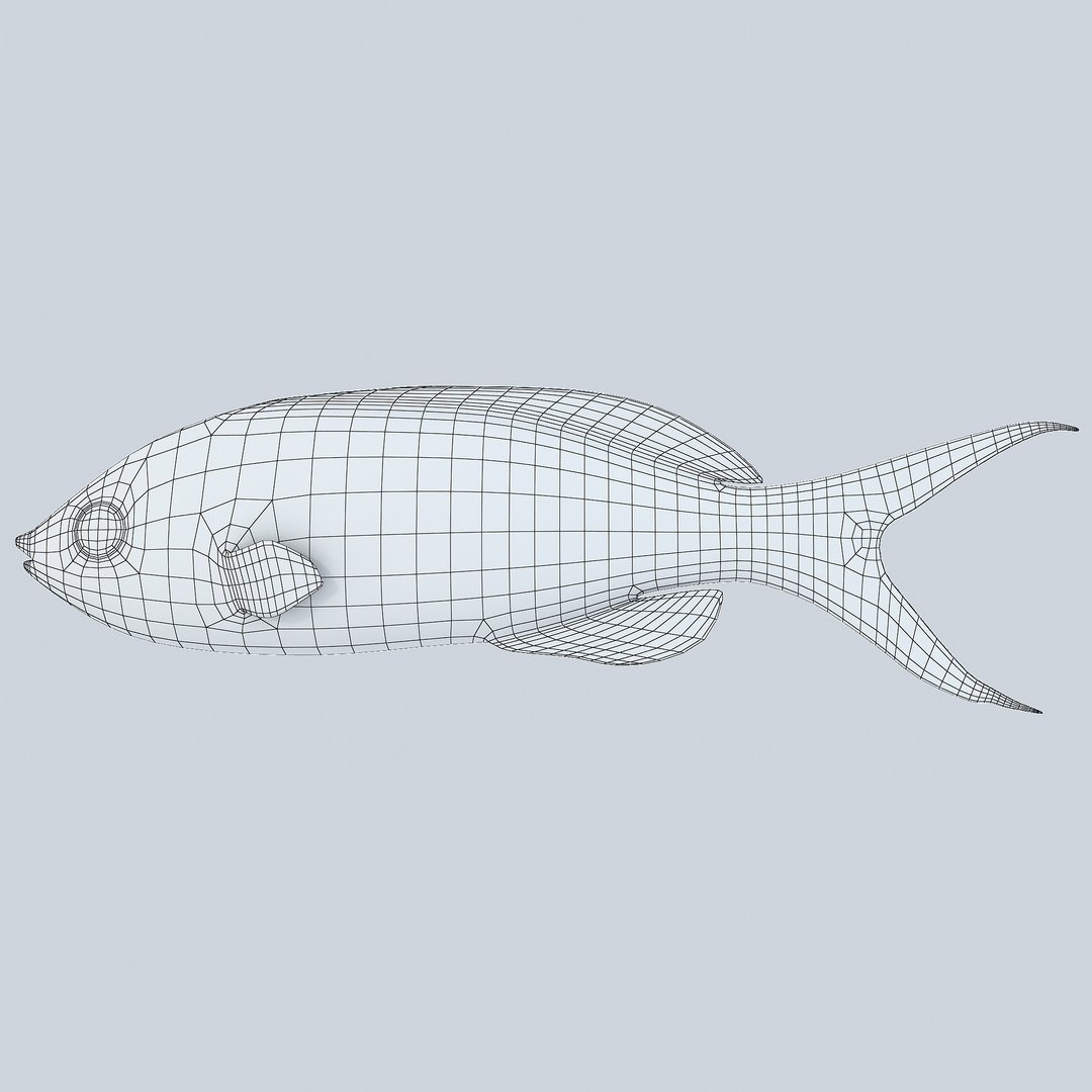 reef fish 3D model https://p.turbosquid.com/ts-thumb/cX/VdrrwU/gjOBYM91/bartlettsanthias1r1w/jpg/1510382941/1920x1080/fit_q87/bf156097edc2e5a7f1522866bf8fdfaf2a266eb0/bartlettsanthias1r1w.jpg