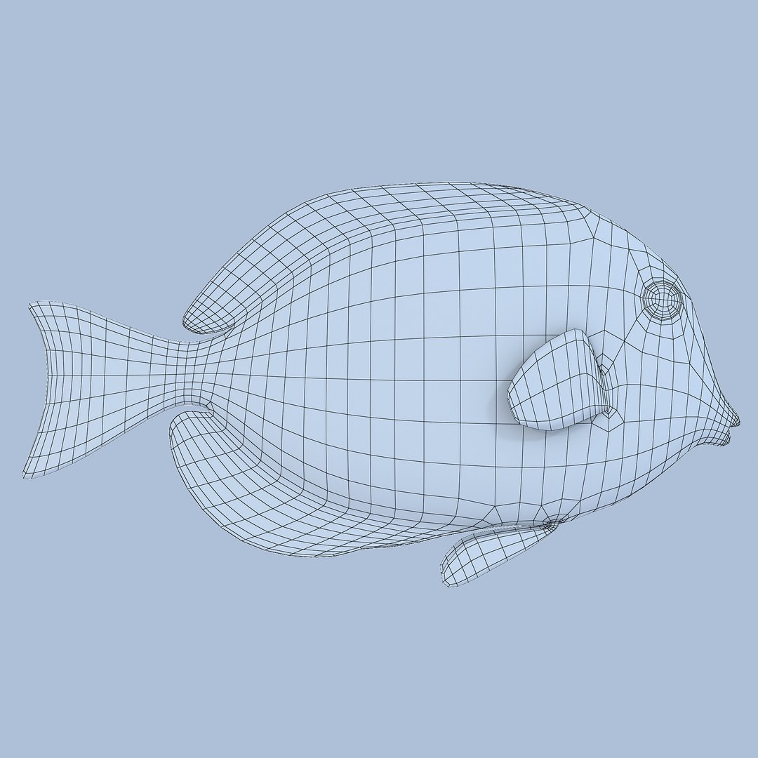 reef fish 3D model https://p.turbosquid.com/ts-thumb/cX/VdrrwU/rWUsx0E5/powderbluetangr1w/jpg/1510383187/1920x1080/fit_q87/fc51c0eb2b3d38e38d69fce5cb526d6037d0bf8c/powderbluetangr1w.jpg