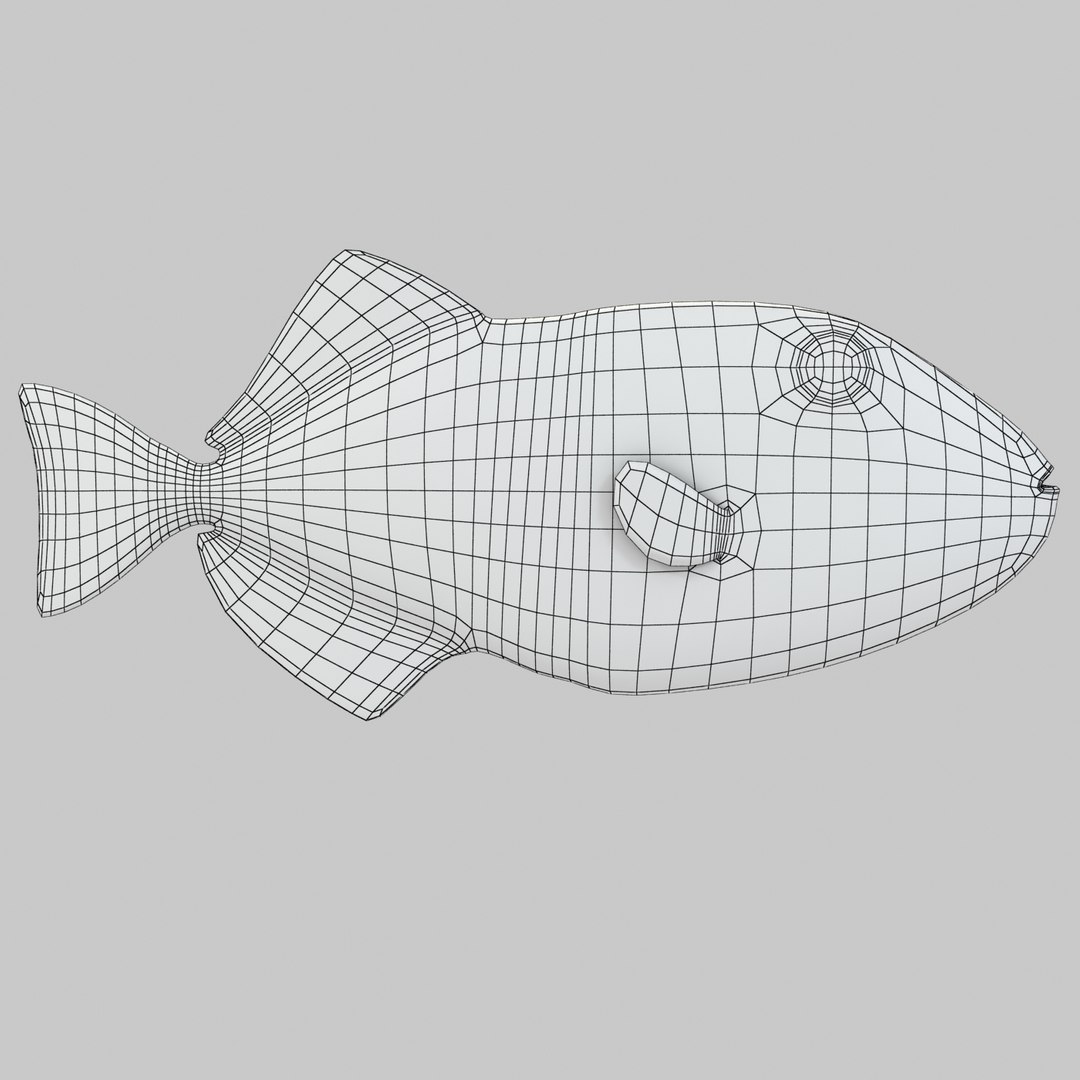 reef fish 3D model https://p.turbosquid.com/ts-thumb/cX/VdrrwU/xmo0ulb9/sargassumr1w/jpg/1510383187/1920x1080/fit_q87/96dcb75b7262f33d2f9ed9201580d1a8e2e593ed/sargassumr1w.jpg