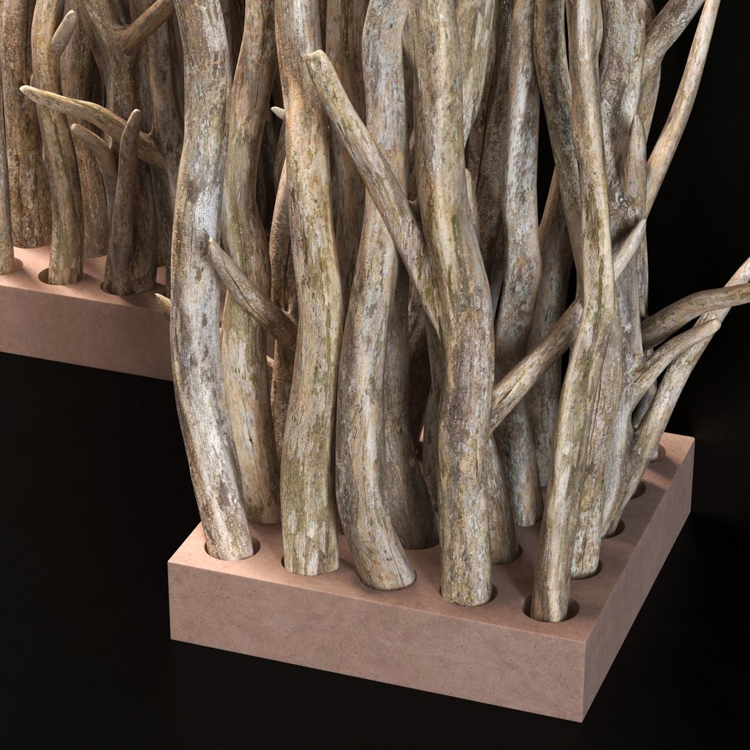 branch wall 3D model https://p.turbosquid.com/ts-thumb/cX/a8KFz1/FFfHQKgH/r3/jpg/1586203523/1920x1080/fit_q87/410c28c828ea58dbf0b7cf72a323ed7e648bc6b1/r3.jpg