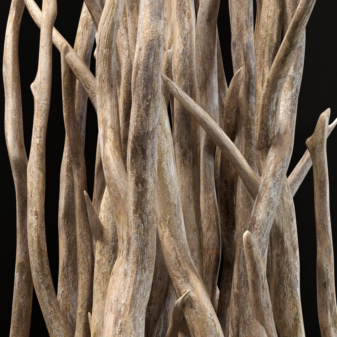 branch wall 3D model https://p.turbosquid.com/ts-thumb/cX/a8KFz1/SWf0RhTw/r2/jpg/1586203523/1920x1080/fit_q87/0fb20cb3c0fd33d80265095f7814c53f9a3a6681/r2.jpg