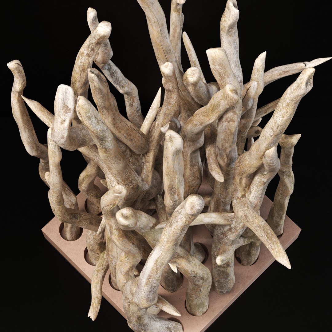 branch wall 3D model https://p.turbosquid.com/ts-thumb/cX/a8KFz1/WVM8e4wb/r4/jpg/1586203523/1920x1080/fit_q87/a915c664852b5bd7c1f1324a6747f0854e64a44b/r4.jpg