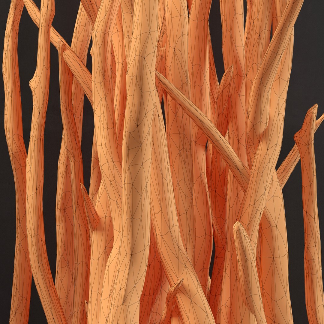 branch wall 3D model https://p.turbosquid.com/ts-thumb/cX/a8KFz1/uCN0A4e9/r6/jpg/1586203523/1920x1080/fit_q87/561e433755edb35876b5266d9cd8f9f45be12e64/r6.jpg