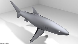 blueshark shark 3D