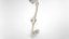 3D Lower limb Skeleton