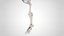 3D Lower limb Skeleton