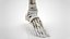 3D Lower limb Skeleton