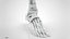 3D Lower limb Skeleton